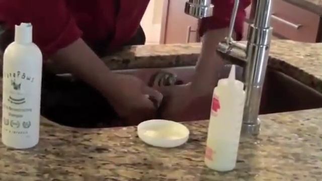 Pure Paws Grooming - Груминг Гавайского Бишона (Бишон Гаванез) смотреть онлайн