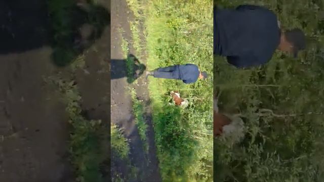 10 июля 2018 г. смотреть онлайн