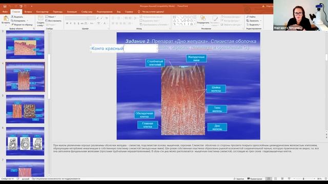 практическое занятие. Пищеварительная система: тракт смотреть онлайн