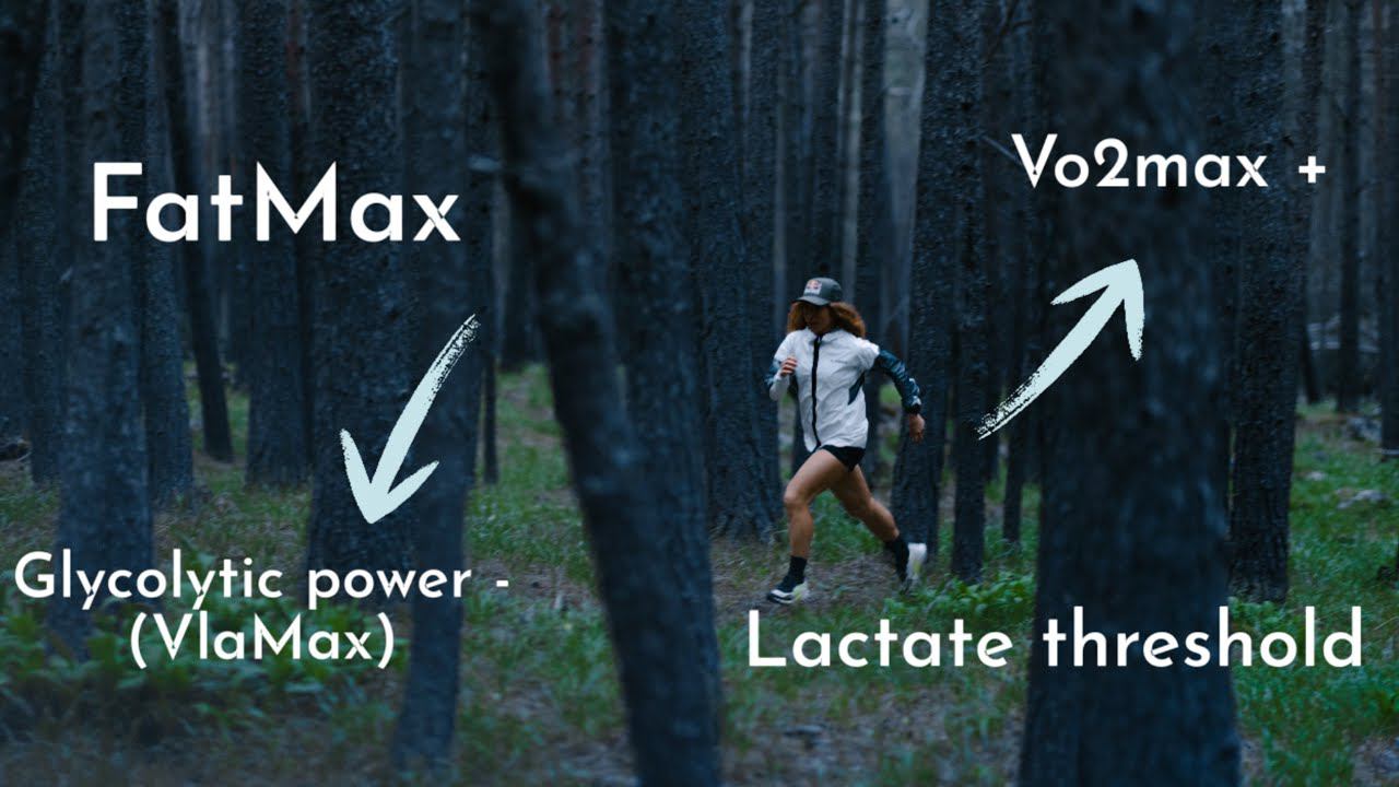 Ультра выносливость - что и как мы должны тренировать. Vo2Max, FatMax, VlaMax, пороги LT1,LT2. смотреть онлайн