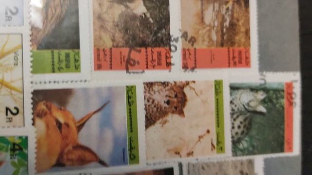 Альбом марок, 64г, 72г и т.д., продажа на Авито смотреть онлайн