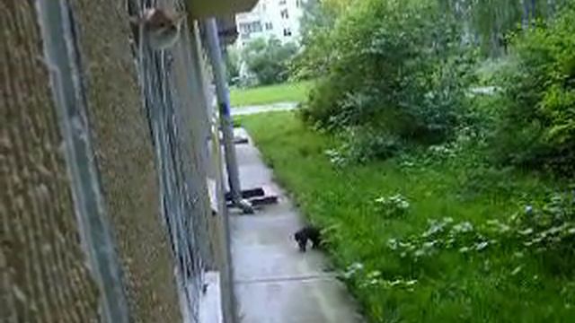Васины женихи смотреть онлайн