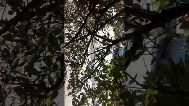 Кирилл и тимофей смотреть онлайн