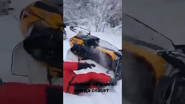 бабушка на динго спасает Тикси смотреть онлайн