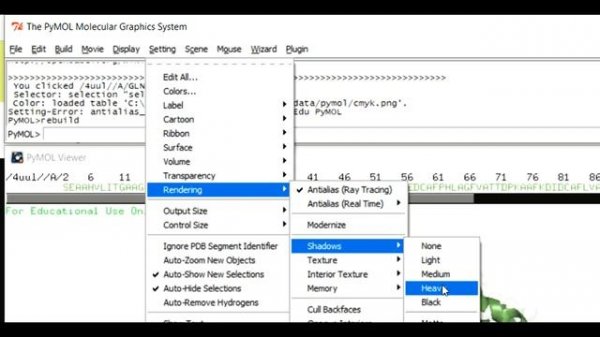 Learn How to Make Great Publication Quality Images in Pymol in 5 Minutes!