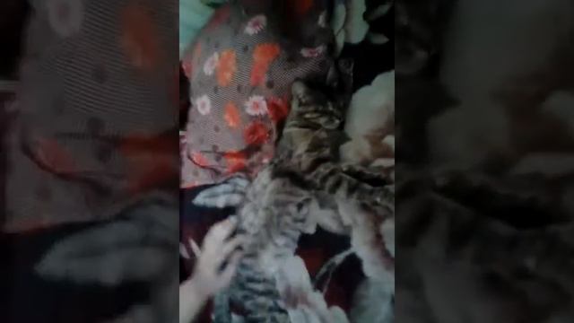 Как только будет готов смотреть онлайн