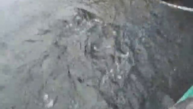 Рыбалка в Сузуне Каргаполово Кордон смотреть онлайн