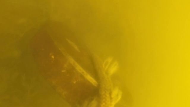 ПОИСКОВЫЙ МАГНИТ С ЛОДКИ ПОИСКИ НА БЕЛОМ ОЗЕРЕ КОСИНО SEARCH MAGNET WITH BOATS смотреть онлайн