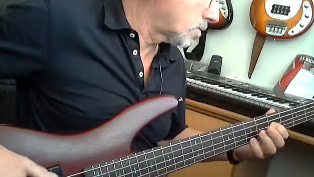 Tear your Playhouse Down on Ibanez SR505 Bass смотреть онлайн