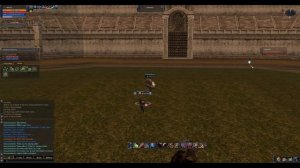 Lineage 2 Soultaker Olympiad C4 (Elite -  Necromancer ) HeRoEs - Stormfang
