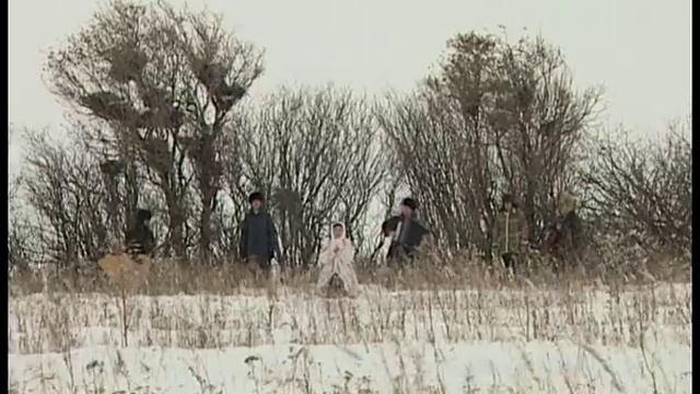 Играй, гармонь! | Анастасия Заволокина | Воронушка смотреть онлайн