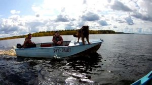 Наше Синдорское озеро. Часть2