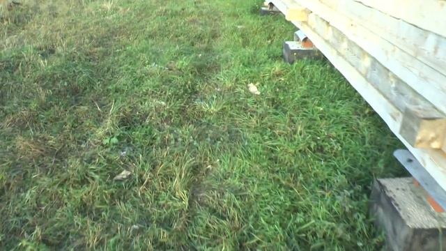 Подключение электроэнергии на нашем хозяйстве смотреть онлайн