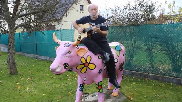 The Beatles - With A Little Help From My Friends, Guitar - Standa Barek смотреть онлайн