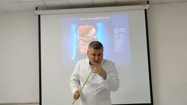 Пищеварительная система / Digestive system смотреть онлайн