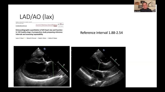 2 - Dimensional Left Atrial Measurements in Dogs [5 Sono-Minutes with SonoPath Ep.7.2] смотреть онлайн