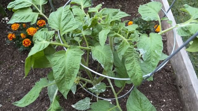 That's What Spheres Do • 6.6.23 смотреть онлайн