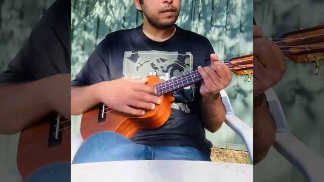 Summertime Sadness | Lana Del Rey | Ukulele Cover смотреть онлайн