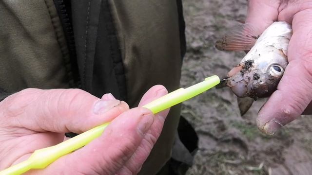 РЫБАЛКА НА ДНЕПРЕ ПОДУСТ ПЛОТВА! ПОЙМАЛИ БОЛЬШЕ ВСЕХ! Набережная Смоленск Плотва Подуст смотреть онлайн