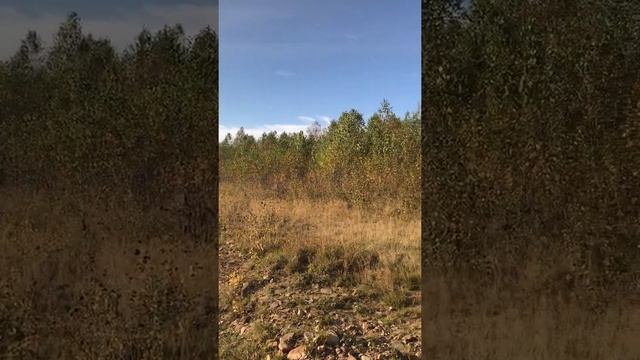Медитация #река #Кондома смотреть онлайн