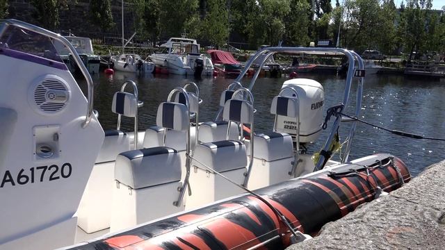 Speedboat-Evinrude 225 HP Four Stroke Outboard Motor