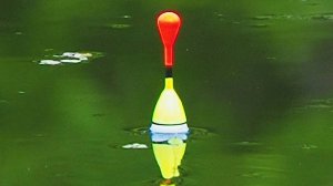 ПОПАЛ В ЗМЕИНОЕ ЛОГОВО! Активный клев карася на маховую удочку с поплавком.