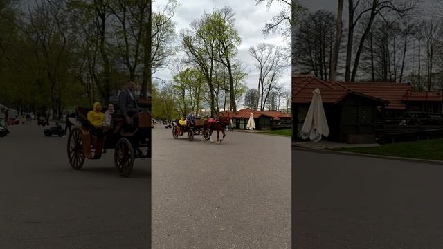 Несвижский замок Беларусь 04.05.22 смотреть онлайн
