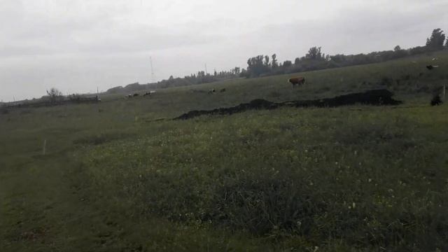 Траншея для фундамента смотреть онлайн