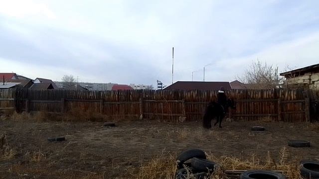 ОБУЧЕНИЕ КОРДЕО/РАБОТА В РУКАХ.ЕЗЖУ ВЕРХОМ смотреть онлайн