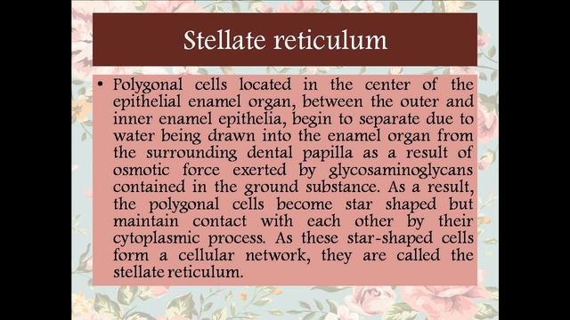 TEACHING HUNT | CONTESTANT NO: 51 | DEVELOPMENT OF TOOTH| Dr. Ramya Krishna V смотреть онлайн