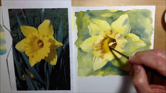 How to paint a Daffodil flower - Watercolour tutorial смотреть онлайн