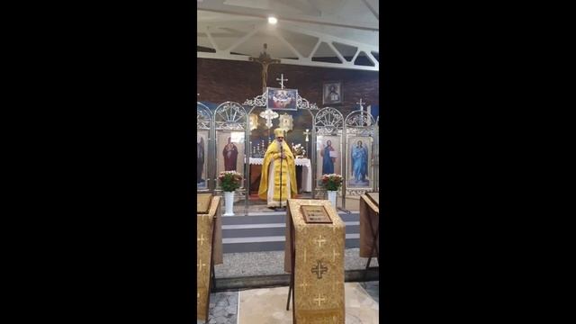 Слово после литургии в праздник бессребреников Космы и Дамиана Асийских и матери их прп Феодотии смотреть онлайн