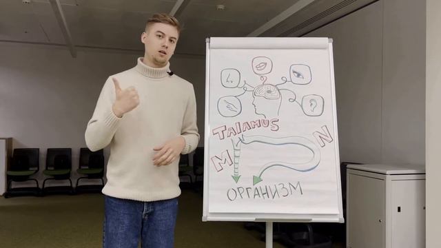 Эмоциональный интеллект. Теория смотреть онлайн