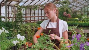 Домашние Цветы "Растут Как На Дрожжах" После Такой Подкормки / Дрожжи Для Комнатных Растений