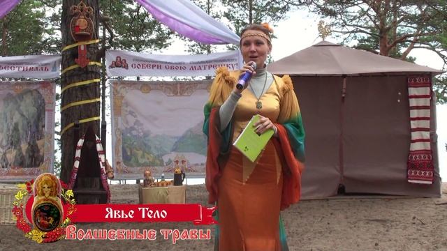 1 Курс 7 Урок. Травы с Жар Птицей. Сказочная Семинария "Собери свою Матрёшку". смотреть онлайн