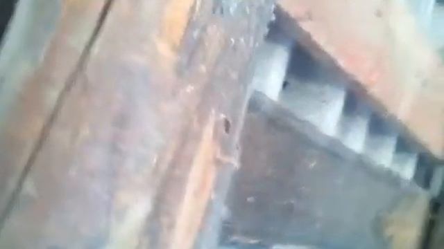 Тарантул смотреть онлайн