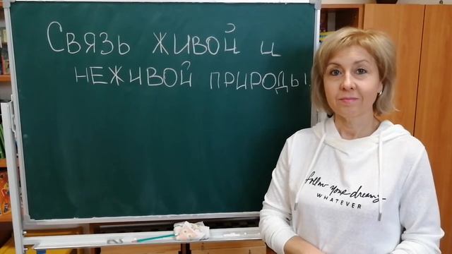 Юный эколог Тема Связь между живой и неживой природой смотреть онлайн
