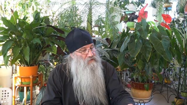 Грехи против Духа Святаго не прощаются. смотреть онлайн