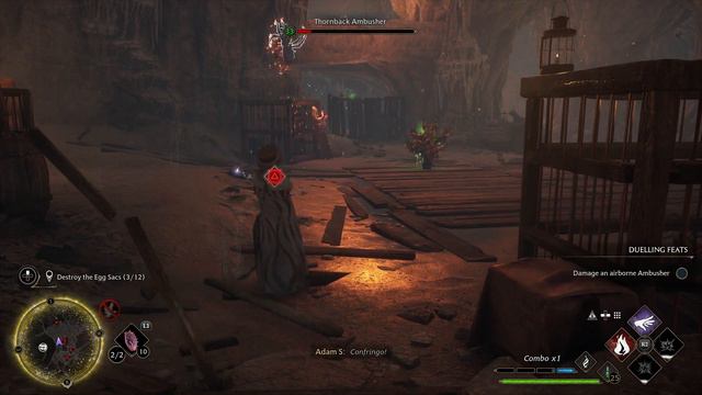 Hogwarts Legacy Tangled Web Side Mission (Spider Breeding) смотреть онлайн