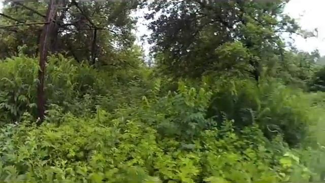 Дача. Часть 1. Обзор. смотреть онлайн
