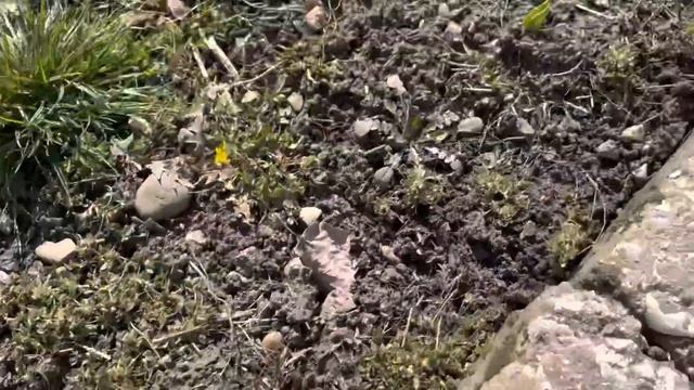 У нас грустная новость? @NatalyaLim_official смотреть онлайн