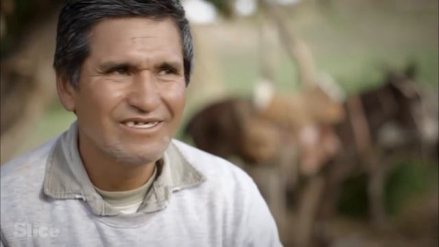 Living in the Andes Mountains | SLICE смотреть онлайн