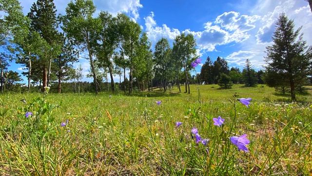 Beaver Ranch Disc Golf Course, 13th in the world and climbing! смотреть онлайн