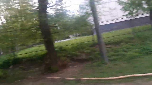 трамвай 31080. Маршрут 36. Просторная Улица -Халтуринская Улица. 300-й Витязь смотреть онлайн