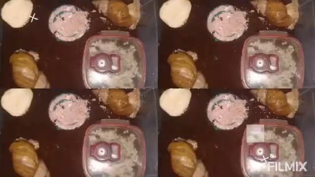 Влог : мой день《кормлю улиток печеньками 》《учу уроки》^первий раз улитки на субстрате^ смотреть онлайн