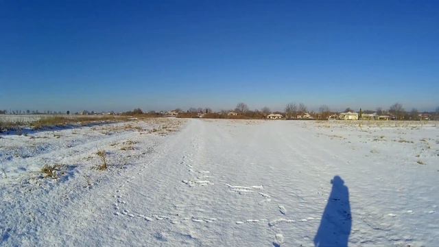 Badem 13 12 2018 cocker spaniel кокер шпаньол