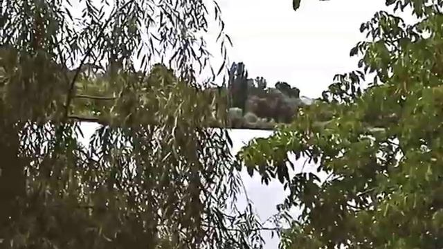 раки это не омары смотреть онлайн