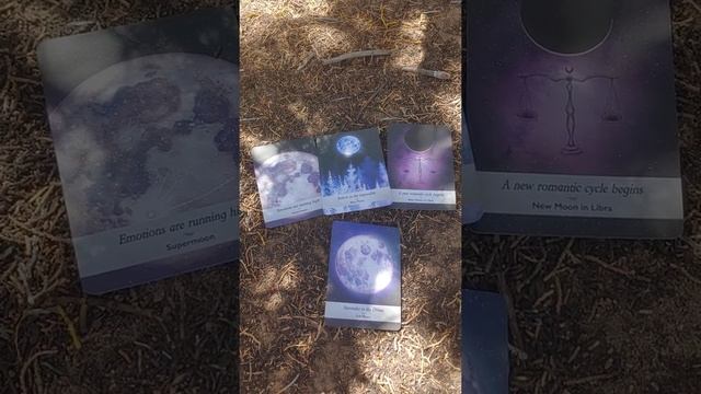 Word of the day! New Romance! #tarot #oracle #generalreading #oraclereading #witch #wicca #pagan смотреть онлайн