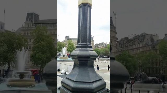 ?? Trafalgar Square ⛲ & National Gallery #londonlife #shorts #trafalgarsquare #nationalgallery смотреть онлайн