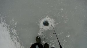 Ловля на ратлин зимой